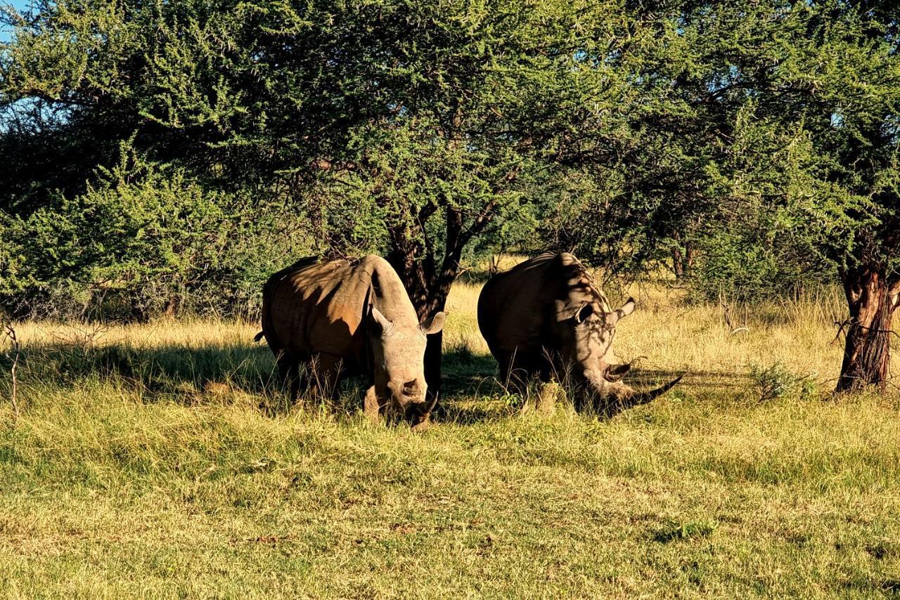 Phumelo Lodge Bela-Bela Buitenkant foto